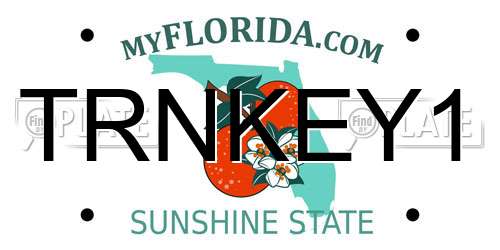 TRNKEY1 Florida License Plate