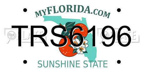 TRS6196 Florida License Plate