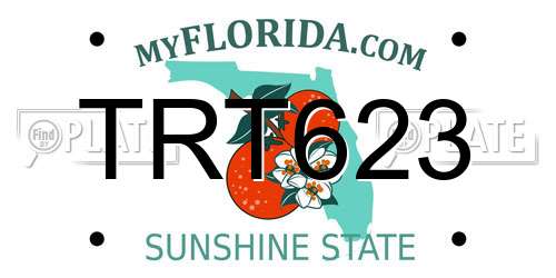 TRT623 Florida License Plate