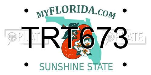 TRT673 Florida License Plate