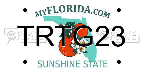 TRTG23 Florida License Plate