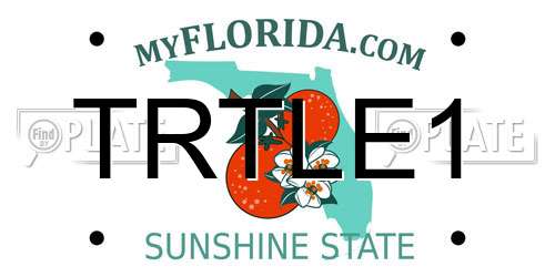 TRTLE1 Florida License Plate