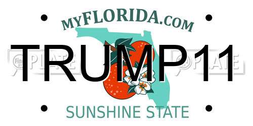 TRUMP11 Florida License Plate