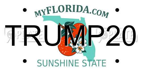 TRUMP20 Florida License Plate