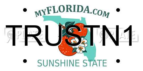 TRUSTN1 Florida License Plate