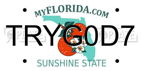 TRYG0D7 Florida License Plate