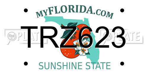 TRZ623 Florida License Plate