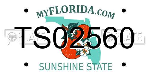 TS02560 Florida License Plate