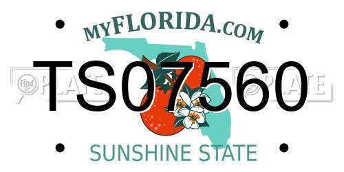 TS07560 Florida License Plate