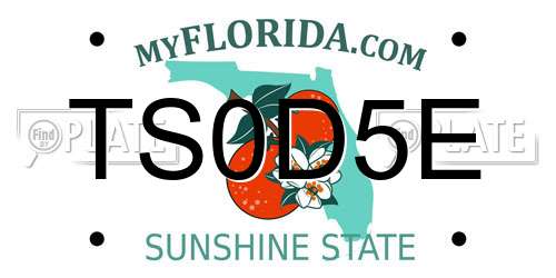 TS0D5E Florida License Plate
