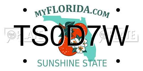 TS0D7W Florida License Plate