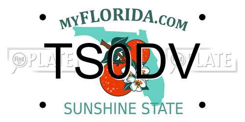 TS0DV Florida License Plate