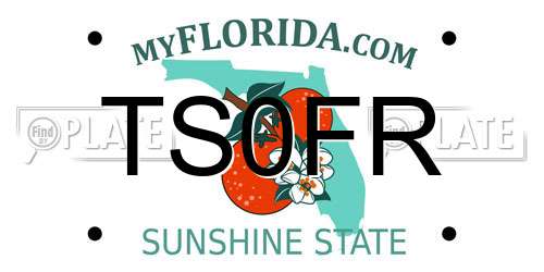 TS0FR Florida License Plate