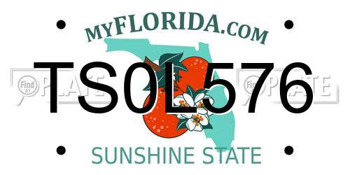 TS0L576 Florida License Plate