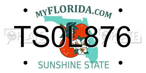 TS0L876 Florida License Plate