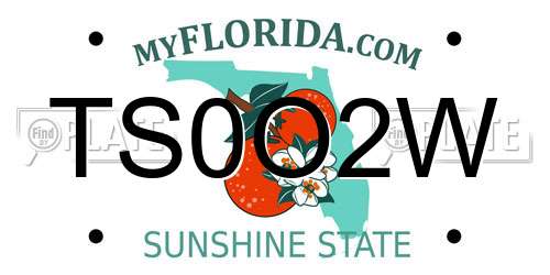 TS0O2W Florida License Plate