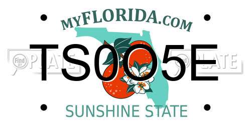 TS0O5E Florida License Plate