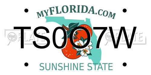 TS0O7W Florida License Plate