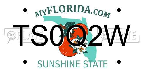 TS0Q2W Florida License Plate