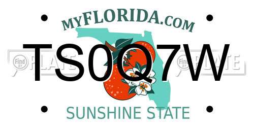 TS0Q7W Florida License Plate