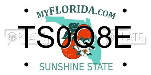 TS0Q8E Florida License Plate