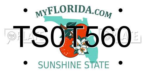 TS0T560 Florida License Plate