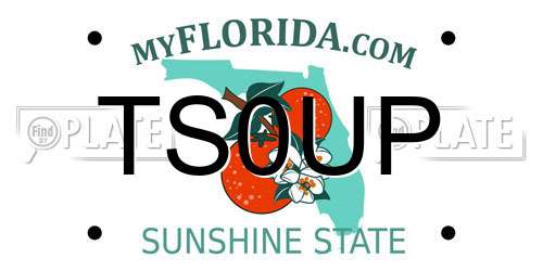 TS0UP Florida License Plate