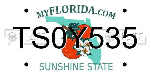 TS0Y535 Florida License Plate