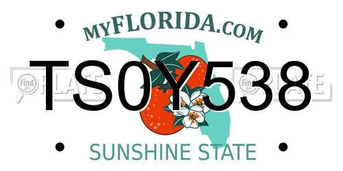 TS0Y538 Florida License Plate