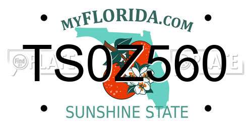 TS0Z560 Florida License Plate