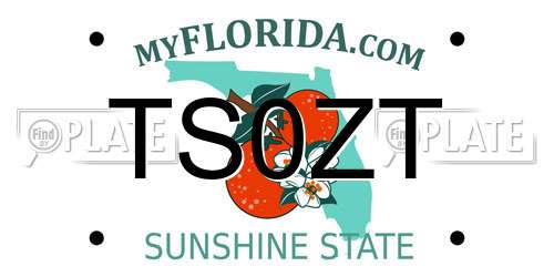 TS0ZT Florida License Plate