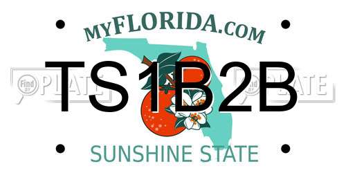 TS1B2B Florida License Plate