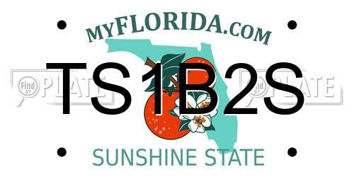 TS1B2S Florida License Plate