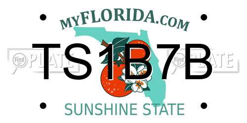 TS1B7B Florida License Plate