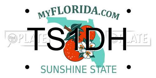 TS1DH Florida License Plate