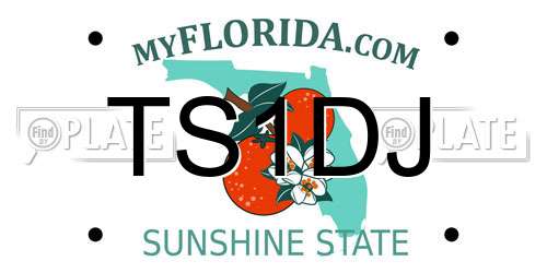 TS1DJ Florida License Plate