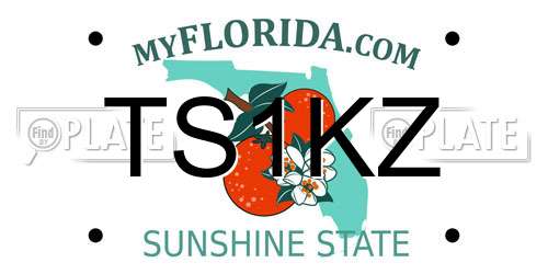 TS1KZ Florida License Plate