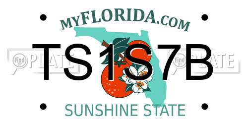 TS1S7B Florida License Plate