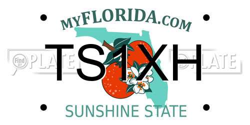 TS1XH Florida License Plate