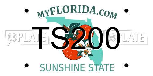 TS200 Florida License Plate