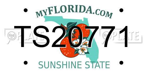 TS20771 Florida License Plate