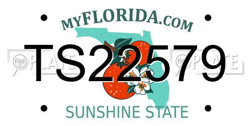 TS22579 Florida License Plate