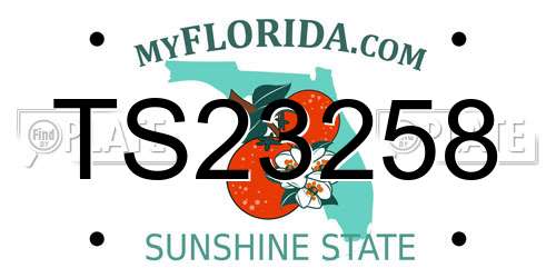 TS23258 Florida License Plate