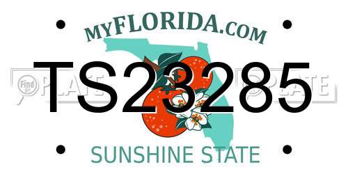 TS23285 Florida License Plate