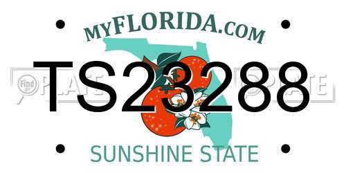 TS23288 Florida License Plate