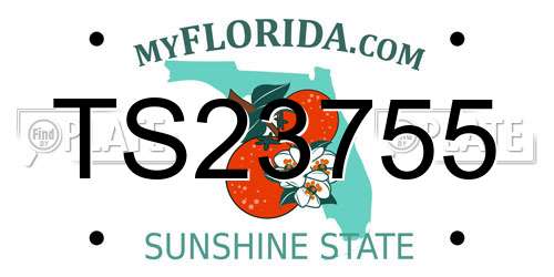 TS23755 Florida License Plate