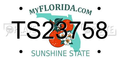 TS23758 Florida License Plate