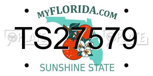 TS27579 Florida License Plate