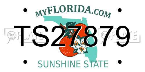 TS27879 Florida License Plate