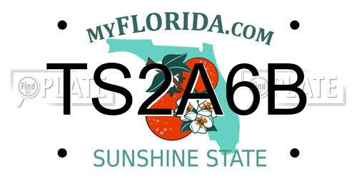 TS2A6B Florida License Plate